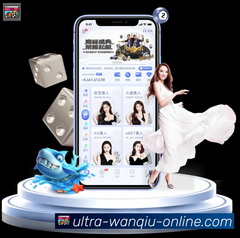 平台使命图